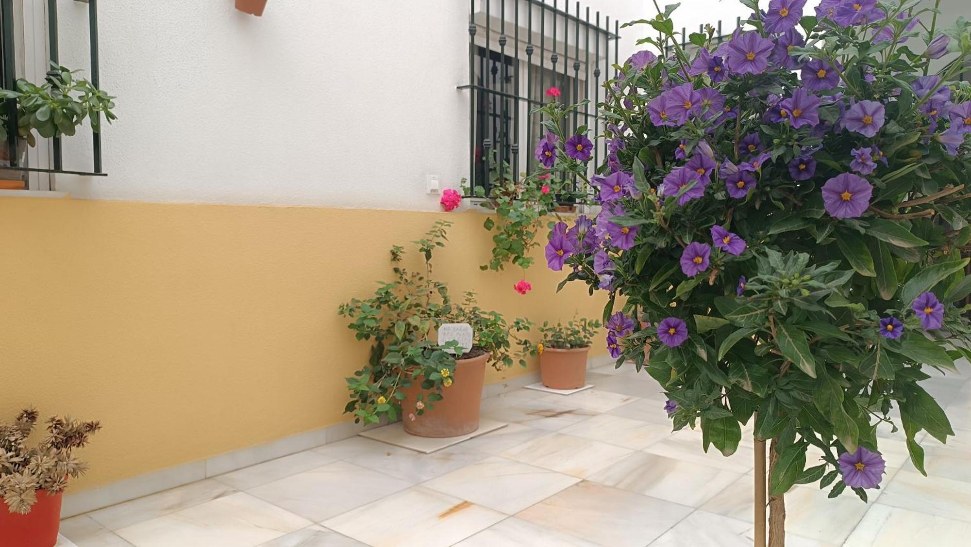 Sherryflat Fontana Jerez de la Frontera Exterior foto